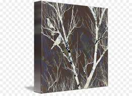 Das malen mit acryl bietet gegenüber der ölmalerei viele vorteile und ist einfach zu erlernen. Birch Gallery Wrap M 083vt Leinwand Holz Weisse Birke Png Herunterladen 589 650 Kostenlos Transparent Zweig Png Herunterladen