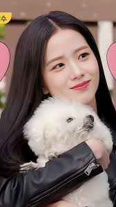 Robert Nolasco (jackt0t24)