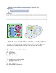 What are the similarities and differences between plant and animal cell. 1 Specify The Similarities And Differences Between Plant And Animal