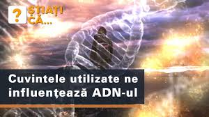 Supranumita si donator universal, ea cuprinde toti indivizii care au pe membrana hematiilog aglutinogenul 0. Sangele De Aur Youtube