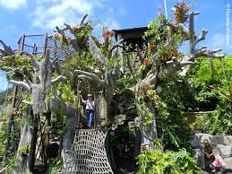 Thingstodo The San Diego Botanic Gardens Admission Is Free The First Tuesday Of The Month San Diego Botanic Garden San Diego Tree House