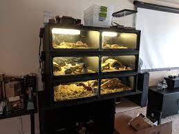 Maybe you would like to learn more about one of these? How Good Are Animal Plastics Enclosures Anyone Have Them Snakes