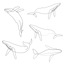 Whales One Line Art Set By Addillum Line Art Tattoos Line Art Drawings Single Line Tattoo