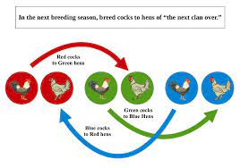 Obviously inbreeding leads to genetic disorders. Using The Clan Mating System Low Input Breeding For Maximum Genetic Diversity In Small Breeding Flocks