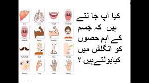 ہدیہ | hadiya name meaning in urdu, arabic names for girls. Parts Of Body Names In Urdu And English With Pictures New Method Youtube