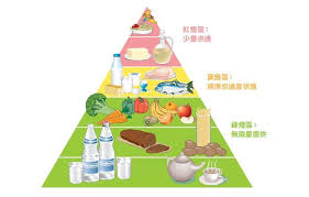 吃什麼最健康 看食物金字塔就知道 健康與營養 學前兒 親子天下 健康與營養 學前兒 parenting health