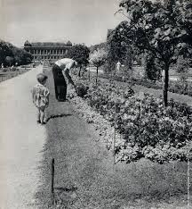 Le Jardin Des Plantes Paris Circa 1950 Janine Niepce Liberation Of Paris French Photographers Photo