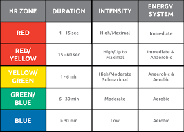 Understanding Heart Rate Zones And Energy Metabolism