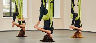 Although there are many free yoga exercise videos on the website already, what i have not uploaded until now was a complete yoga dvd for you. The Best Yoga Dvd S For Home 2021 Fully Reviewed