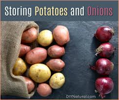 how to store potatoes and onions