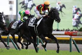 JRA-VAN World - News update