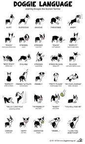 Incredibly Detailed Charts Will Help You Speak Your Dogs