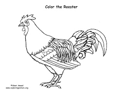 Rooster outline drawing at getdrawings com free for. Rooster Coloring Page