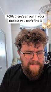 Owl Mystery in Your Flat: Can You Find It?