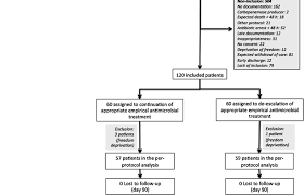 Flow Chart Of Inclusion And Follow Up Download Scientific