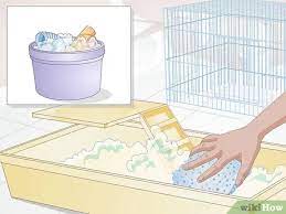 How To Clean A Rat's Cage (With Pictures) - Wikihow