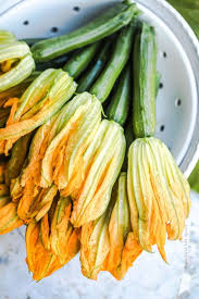 Bouquet Du Jour Fleur De Courgette Farcie Courgettes Farcies Fruits Et Legumes