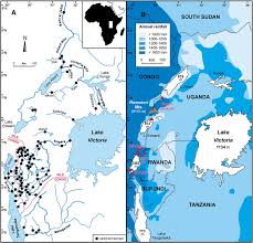 Much of the land surrounding the river is tropical rain forest and is home to hundreds of kinds of animals. Location Map Of The Study Region In Equatorial Central Africa A Download Scientific Diagram