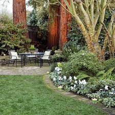 Winter Garden To Do List Winter Garden Garden Design Backyard Garden Landscape