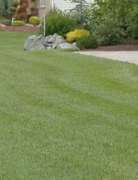 The educational services commission of new jersey: Edison Nj Lawn Service Union County Lawncare Rich S Lawncare