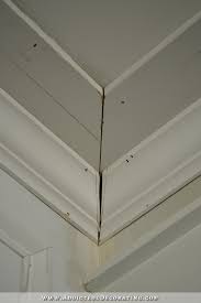 The function of crown is purely for upgrading the interior appearance of the room. Dining Room Crown Molding Progress Problems Solutions Addicted 2 Decorating