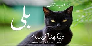 It indicates you have a hidden sense of intuition. Khawab Mai Billi Dekhna Seeing Cat In A Dream Haq Baat