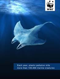 Each Year Plastic Pollution Kills More Than 100 000 Marine Creatures Pollution Ocean Pollution Plastic Pollution