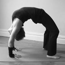 We did not find results for: Diana O Carroll Aucklandyoga Twitter