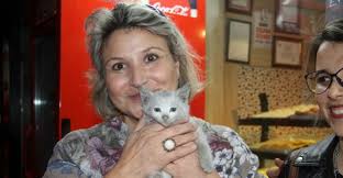 Isparta Da Yavru Kedi Operasyonu