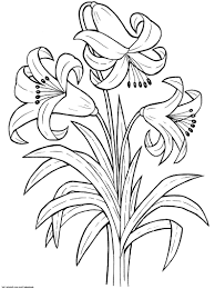 Search through 52646 colorings, dot to dots, tutorials and silhouettes. Simple Flower Coloring Pages For Adults Novocom Top