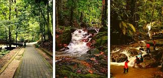 Artikel ini ada menyenaraikan sebanyak 40 tempat batu caves adalah antara tempat paling dilawati pelancong di selangor. 60 Tempat Menarik Di Selangor Edisi 2021 Panduan Bercuti