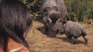 Embolotherium (meaning battering ram beast, or wedge beast) is an extinct genus of brontothere that lived in mongolia during the late eocene period. Dinosaur Of The Month Embolotherium