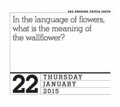 He loves any type of game (virtual, board, and anything in between). 35 Best Trivia Jokes And Games From Page A Day Calendars Ideas Trivia Jokes Sudoku