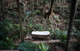 Get me out of here!. I M A Celebrity 2017 Set Is Unveiled Daily Mail Online