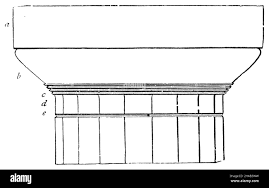 Image result for Plinthus