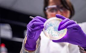 Its quite difficult to serve a healthy lifestyle. Can Microbiome Technologies Pave The Way Frost Sullivan