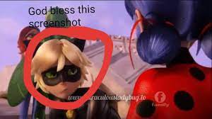 Adrien Agreste Cat Noir X Reader One Shots Memes Not An X Reader Part 2 In 2021 Miraculous Ladybug Movie Miraculous Ladybug Anime Miraculous Ladybug Comic