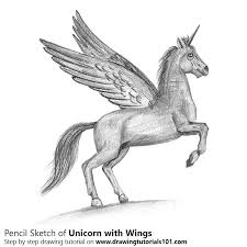 Pencil Sketch Of Unicorn With Wings Pencil Drawing Unicorn Drawing Pencil Drawings Unicorn Wings