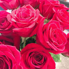 Check spelling or type a new query. Smelling The Roses Thanks To My Husband I Am So Lucky To Have Him As My Partner In This Life Cherish Your Relationships They Re All That Matter