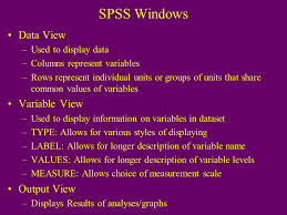 SPSS Instructions for Introduction to Biostatistics Larry Winner Department  of Statistics University of Florida.