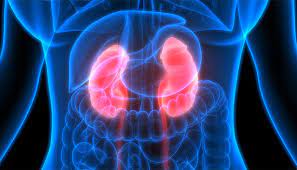 A higher number, such as stage iv, means cancer has spread more. If I Have Cancer In One Kidney What Are The Chances Of It Spreading To The Other One Moffitt