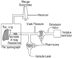 Leak Compensation In Positive Pressure Ventilators A Lung