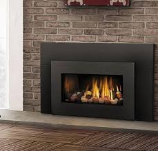 These inserts require little in the way of maintenance and are far more efficient than the fireplaces they are replacing, gas fireplace inserts vent exclusively out of the chimney which will eradicate drafts, increasing your home's efficiency. Napoleon Gdi30nsb Appliances Connection