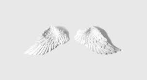 Black And White Angel Wings Aesthetic Pin By Dani George On Arriane Alter White Aesthetic Angel Aesthetic Pure Products