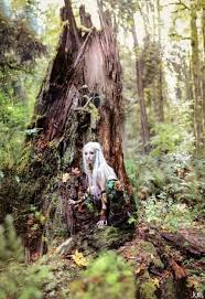 Druids Trees Woman Of The Woods Wood Nymphs Fairy Tales Magical Creatures
