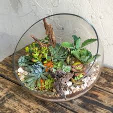 15 Unique And Beautiful Terrarium Design Ideas To Decorate Your Home Beautiful Terrariums Diy Succulent Terrarium Succulent Terrarium