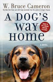 It's available to watch on tv, online, tablets, phone. A Dog S Way Home Dog S Way Home Novel 1 Amazon De Cameron W Bruce Fremdsprachige Bucher