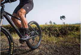 Thank you for considering united bike and for allowing us to introduce you to our terang dunia internusa, with its headquarters in jakarta, indonesia. United Bike Excellence And Pride