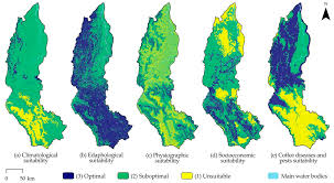 Population grew by 7.4 percent, the slowest. Ijgi Free Full Text Land Suitability For Coffee Coffea Arabica Growing In Amazonas Peru Integrated Use Of Ahp Gis And Rs Html
