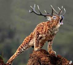 Photoshopped Animal Hybrids Photoshopped Animals Fake Animals Bizarre Animals